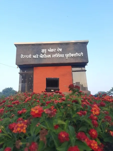 Guru Angad Dev Veterinary & Animal Sciences University (GADVASU), Ludhiana (BVSc & AH – Bachelor of Veterinary Science and Animal Husbandry)