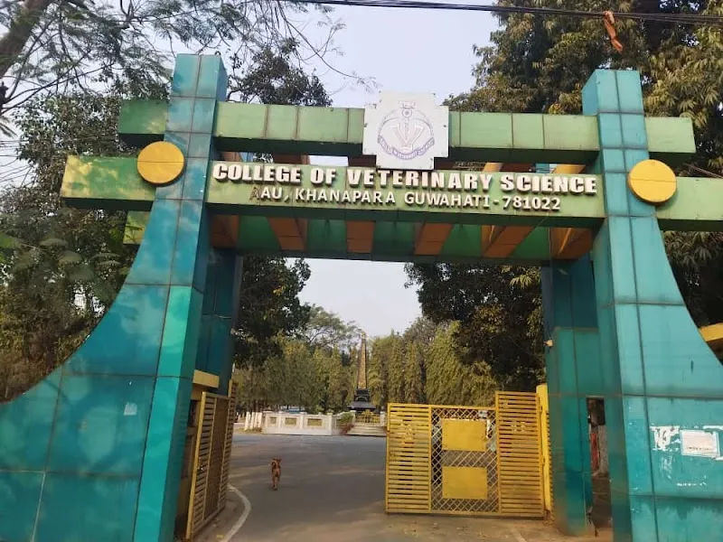 College of Veterinary Science (Khanapara Campus) (BVSc & AH – Bachelor of Veterinary Science and Animal Husbandry)