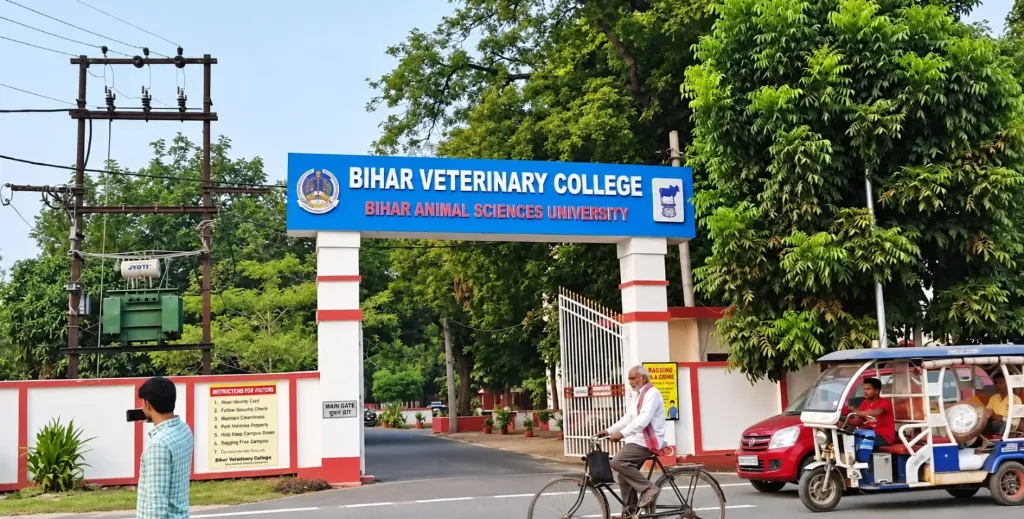 Bihar Animal Sciences University, Patna (BVSc & AH – Bachelor of Veterinary Science and Animal Husbandry)