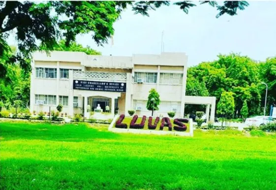 Lala Lajpat Rai University of Veterinary & Animal Sciences