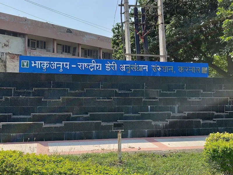 National Dairy Research Institute (NDRI) (BVSc & AH – Bachelor of Veterinary Science and Animal Husbandry)