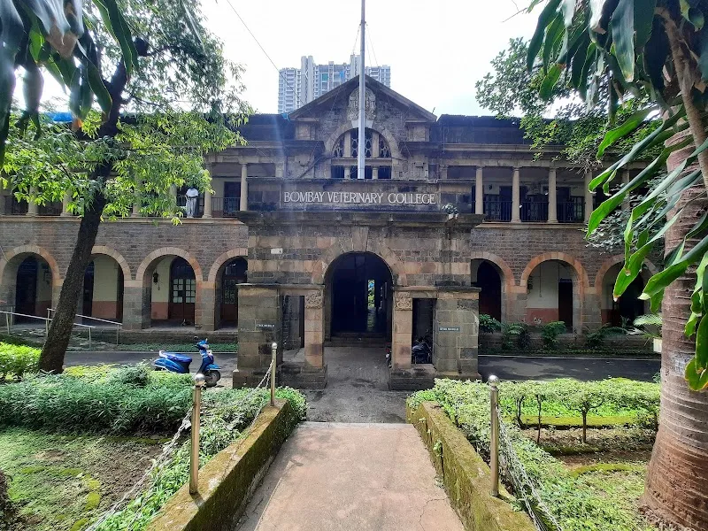 Mumbai Veterinary College (BVSc & AH – Bachelor of Veterinary Science and Animal Husbandry)