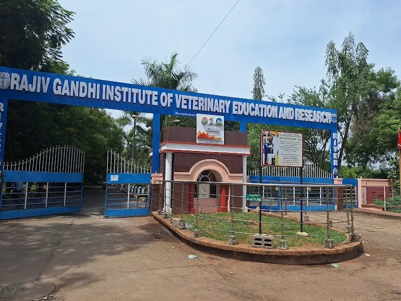 Rajiv Gandhi Institute of Veterinary Education & Research (RIVER) (BVSc & AH – Bachelor of Veterinary Science and Animal Husbandry)