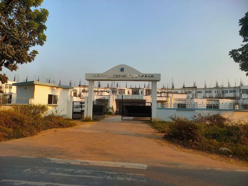 College of Veterinary Sciences & Animal Husbandry (BVSc & AH – Bachelor of Veterinary Science and Animal Husbandry)