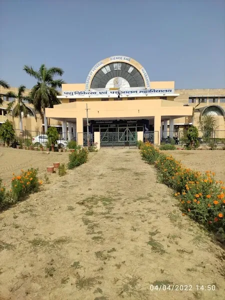 College of Veterinary Science & Animal Husbandry (BVSc & AH – Bachelor of Veterinary Science and Animal Husbandry)
