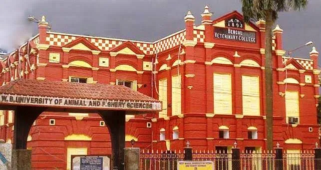 West Bengal University of Animal & Fishery Sciences (BVSc & AH – Bachelor of Veterinary Science and Animal Husbandry)