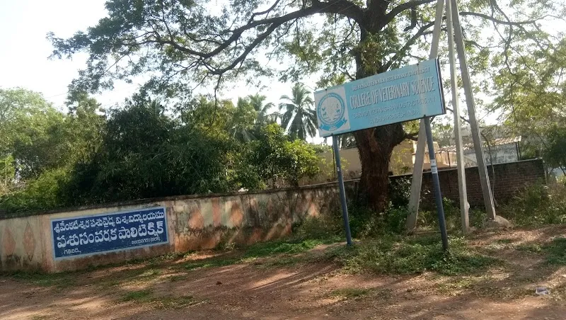 College of Veterinary Science