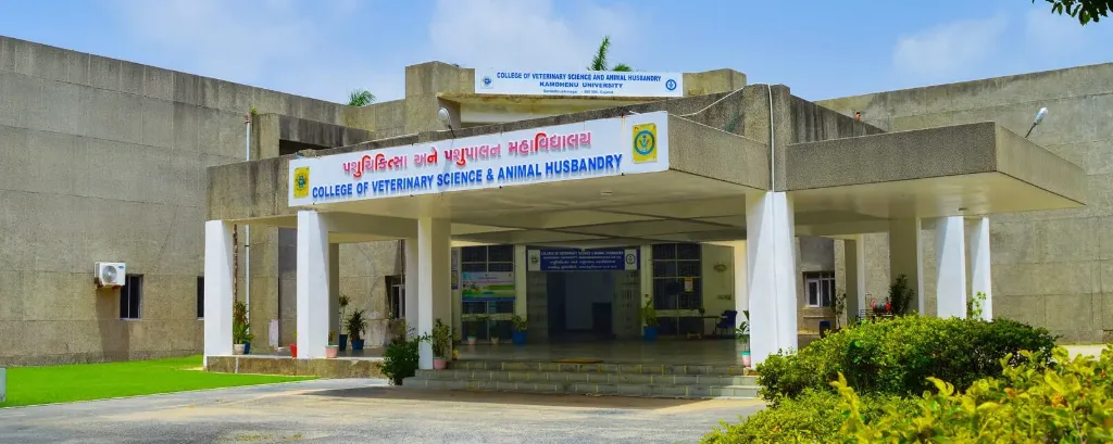 College of Veterinary Science & Animal Husbandry, Sardarkrushinagar (Dantiwada) (BVSc & AH – Bachelor of Veterinary Science and Animal Husbandry)