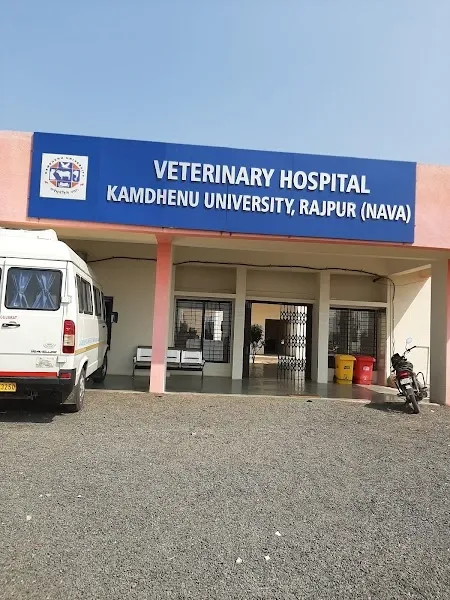 College of Veterinary Science & Animal Husbandry (BVSc & AH – Bachelor of Veterinary Science and Animal Husbandry)