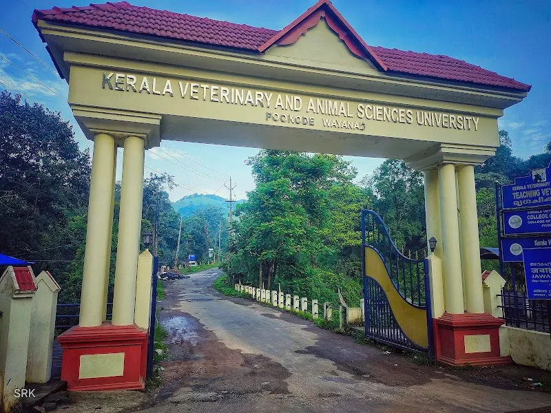 College of Veterinary & Animal Sciences (BVSc & AH – Bachelor of Veterinary Science and Animal Husbandry)