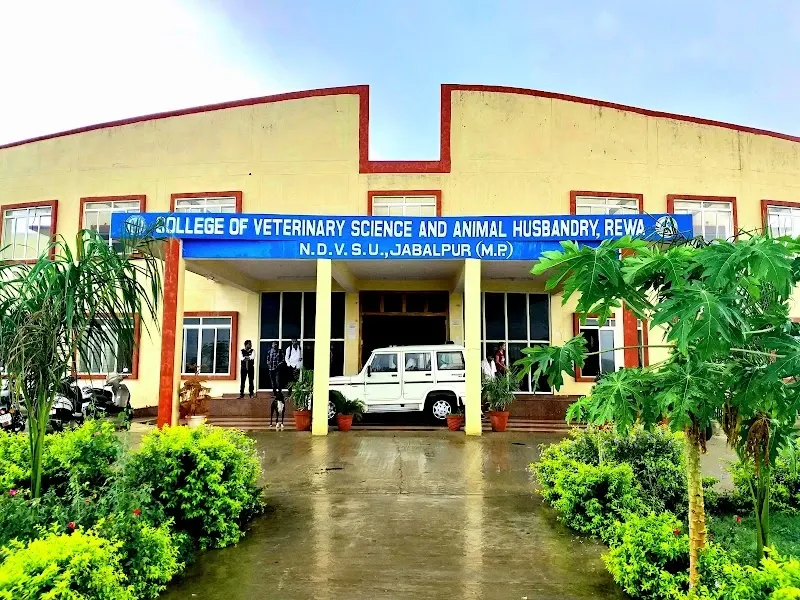 College of Veterinary Science & Animal Husbandry