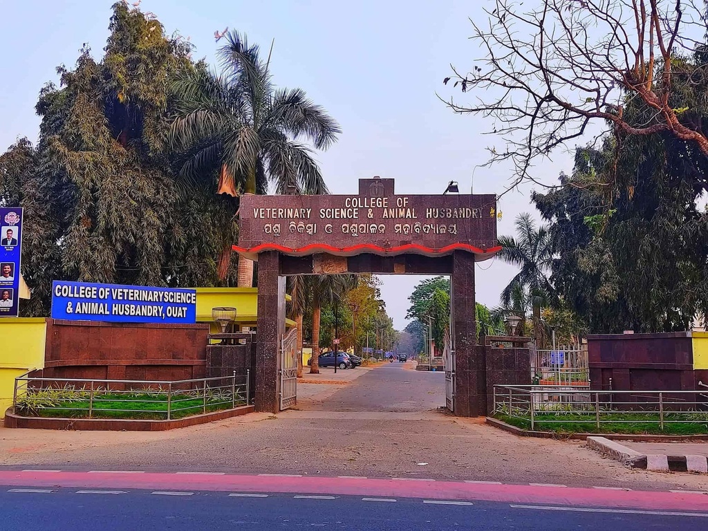 College of Veterinary Science & Animal Husbandry